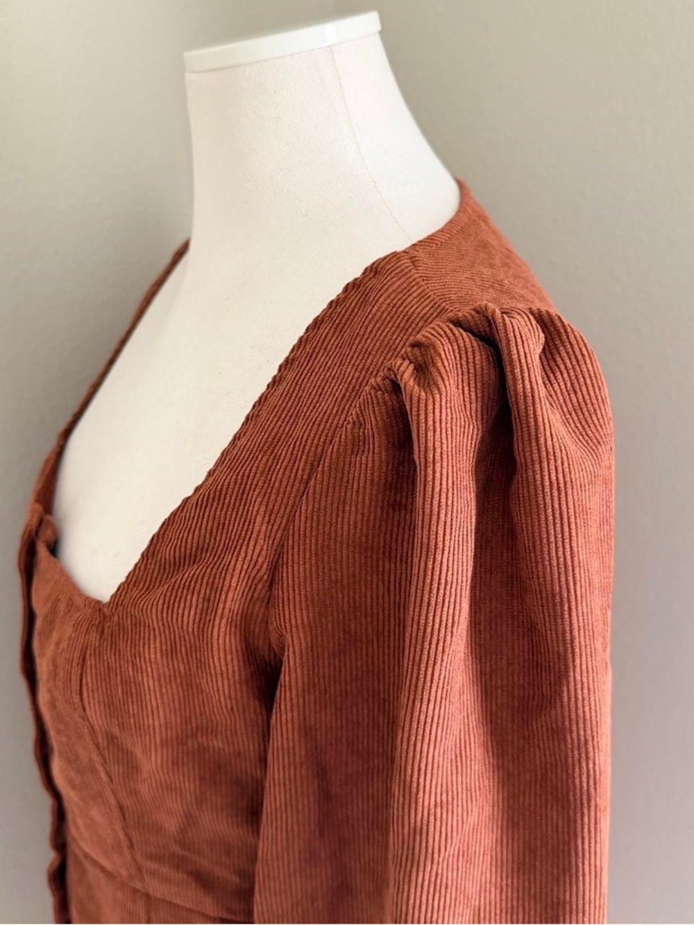 Lulus Brick Orange Corduroy Button-Front Mini Dress - Picture 3 of 8